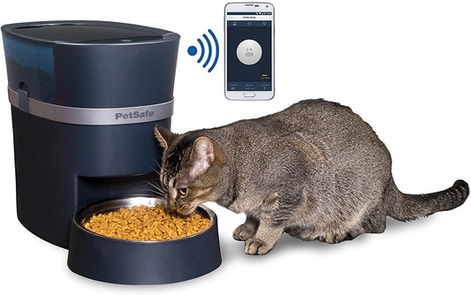 PetSafe Wi-Fi pet feeder automatic dispensing food while a gray cat eats from the bowl