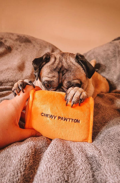 CHEWY PAWTTON PLUSH DOG TOY