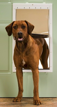 PetSafe Plastic Dog Door - Extra Large PawCounter.com