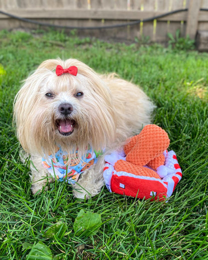 PAWTY FRIED CHICKEN INTERACTIVE SNUFFLE MAT DOG TOY