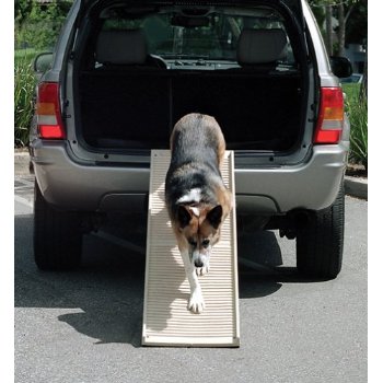 PetStep Folding Dog Ramp PawCounter.com