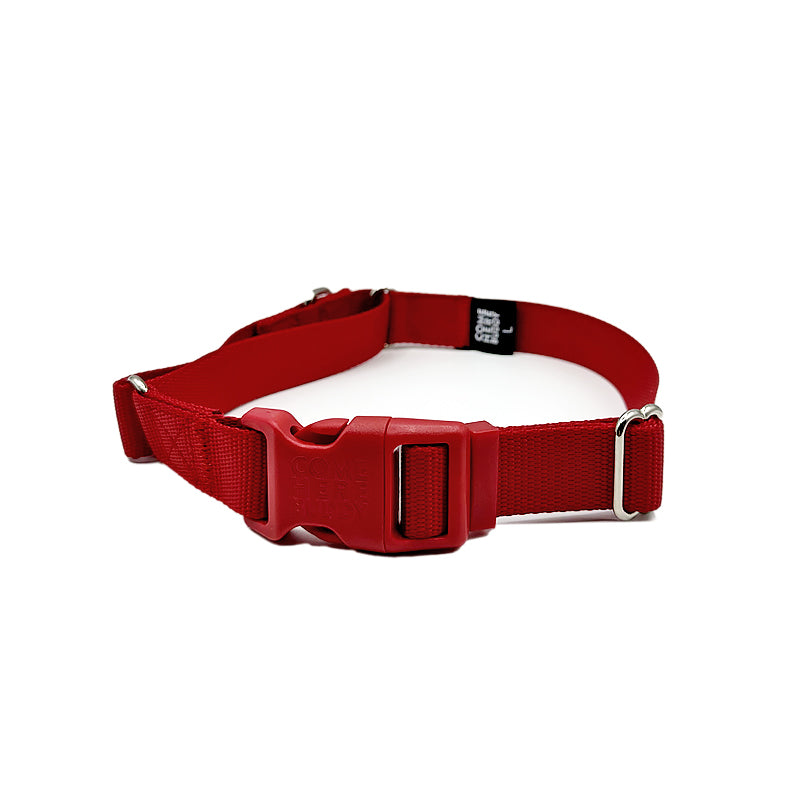 Martingale Dog Collar