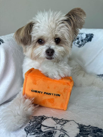 CHEWY PAWTTON PLUSH DOG TOY