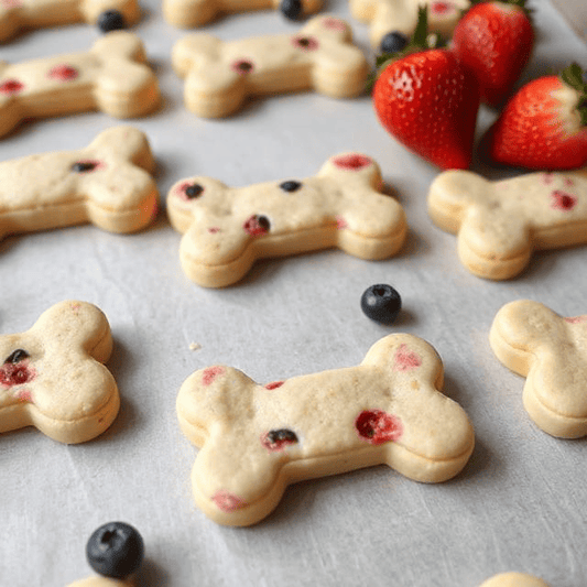 Bone-shaped gourmet fruit dog treats with blueberries and strawberries from PawCounter.com