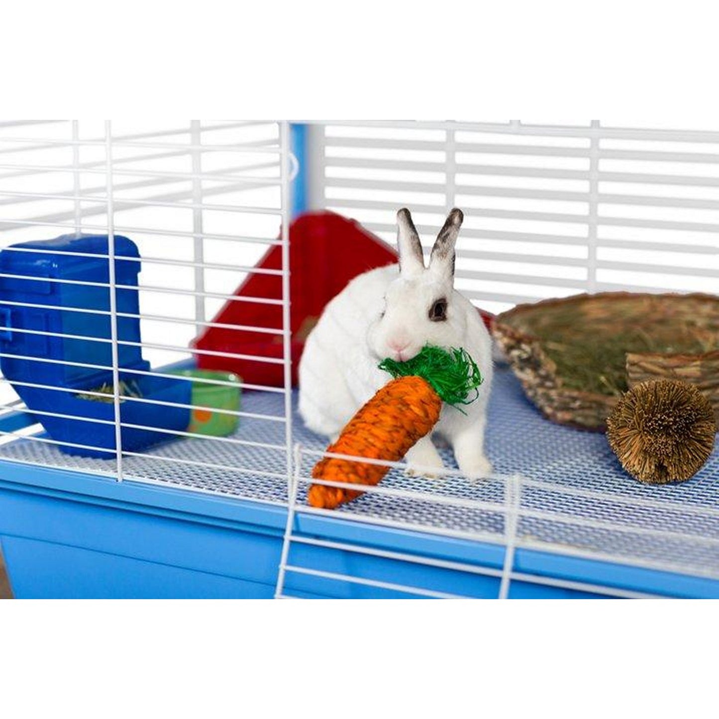 White rabbit in cage chewing on small animal chew toy shaped like a carrot by Prevue Pet Products