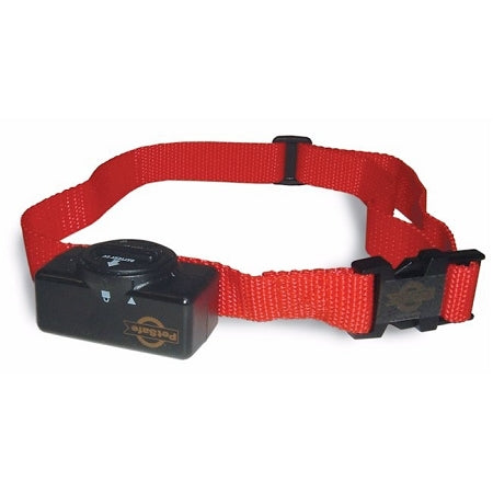 PetSafe standard bark collar for dogs with adjustable red nylon strap and black control module