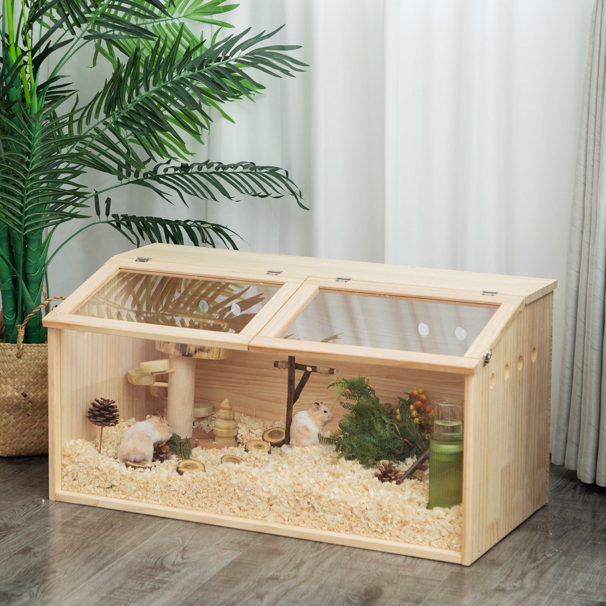 Transparent wooden hamster cage with clear panels and bedding housing two hamsters