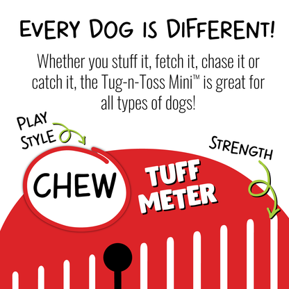 Jolly Pets Tug-N-Toss Mini dog tug toy designed for interactive play and chewing durability