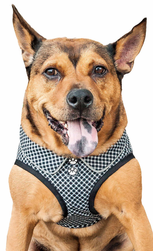 Happy dog wearing a black and white checkered adjustable dog harness by PawCounter.com