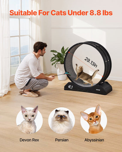 Cat exercise wheel indoor with a person encouraging a cat to play, suitable for cats under 8.8 lbs