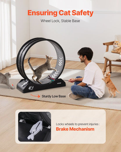 Cat exercise wheel indoor with sturdy base and safety features for playful cats and kittens