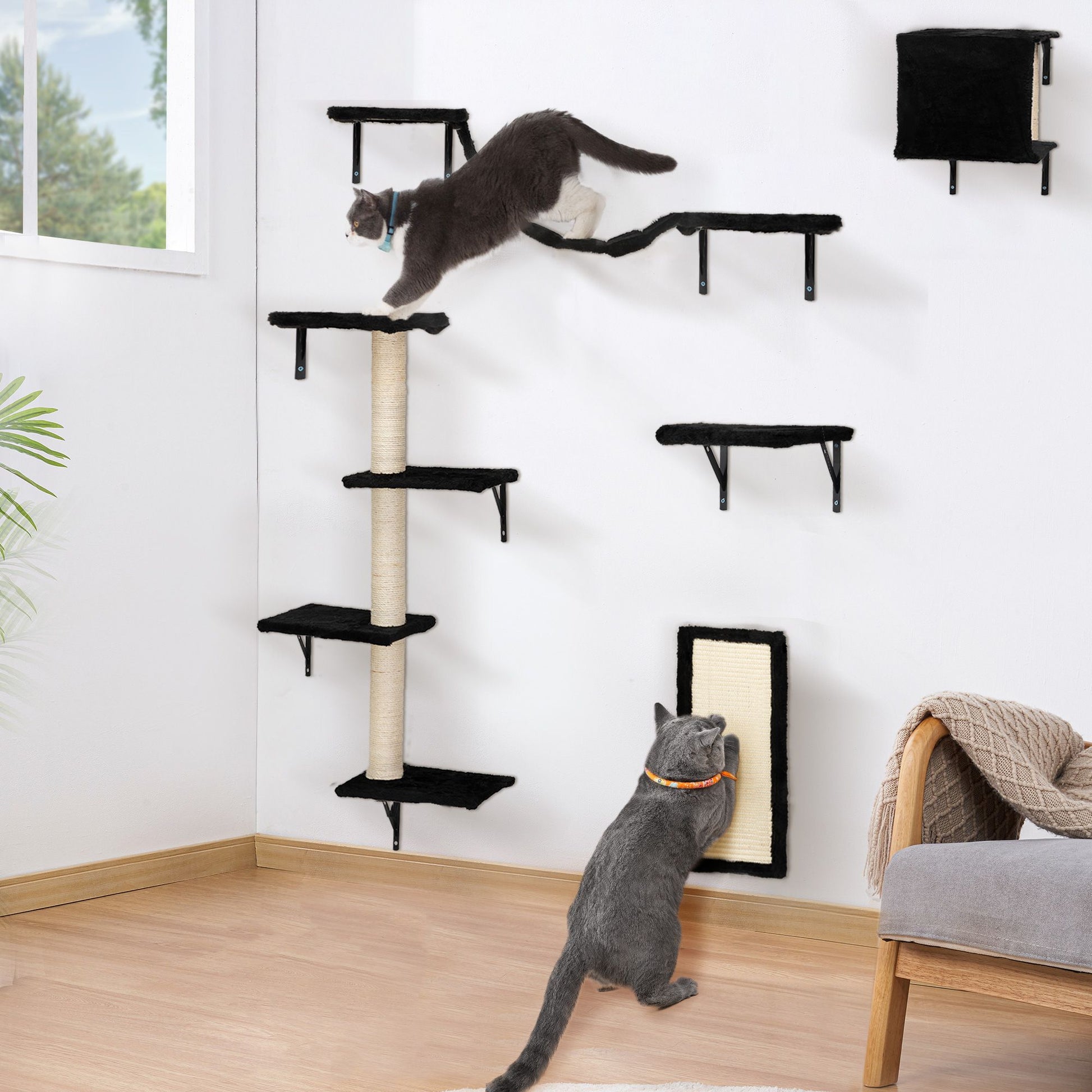 Wall mounted cat climber set in black with multiple platforms and scratching posts for active cats