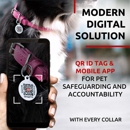 Pink rolled leather dog collar with QR ID tag for pet safeguarding and accountability by PawCounter.com