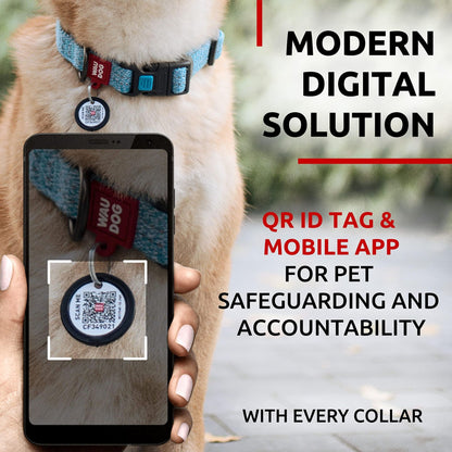 Reflective cotton dog collar on a dog with QR ID tag scanned by mobile app for pet safety