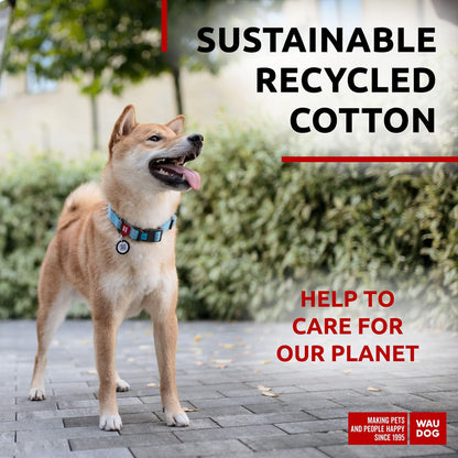 Shiba Inu wearing a reflective cotton dog collar made of sustainable recycled cotton outdoors