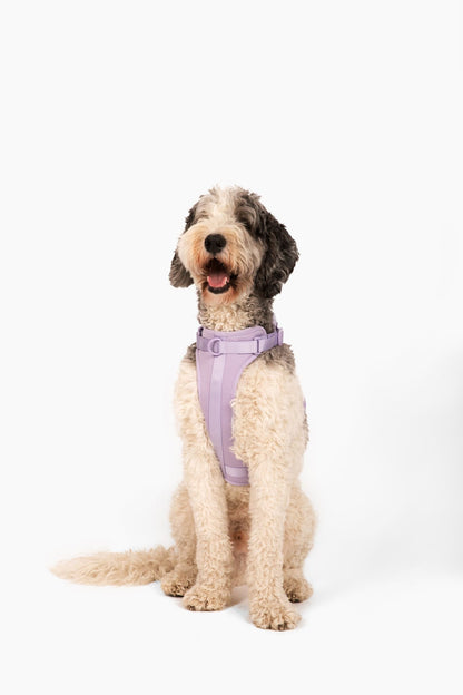 Dog Harness for Small and Large Dogs