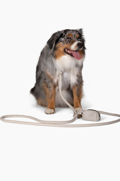 Dog Harness for Small and Large Dogs