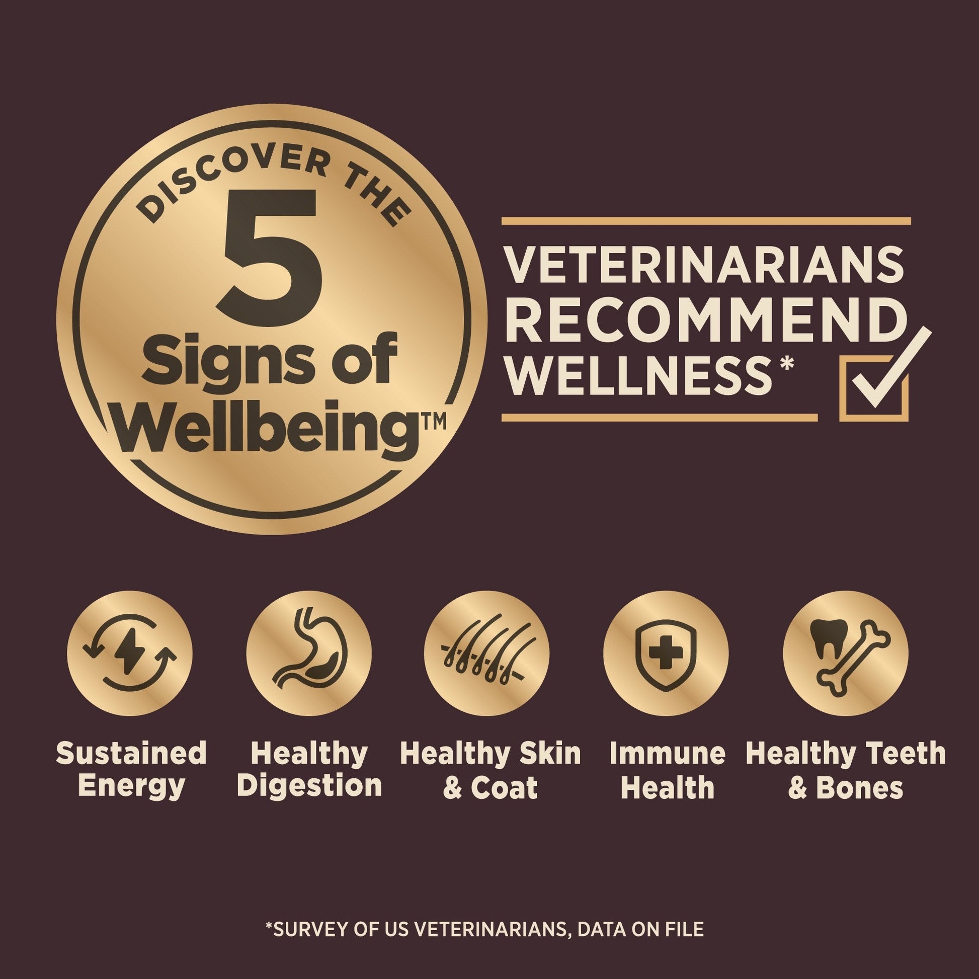 The Family Pet small breed raw dog food showcasing the 5 signs of wellbeing for optimal pet health
