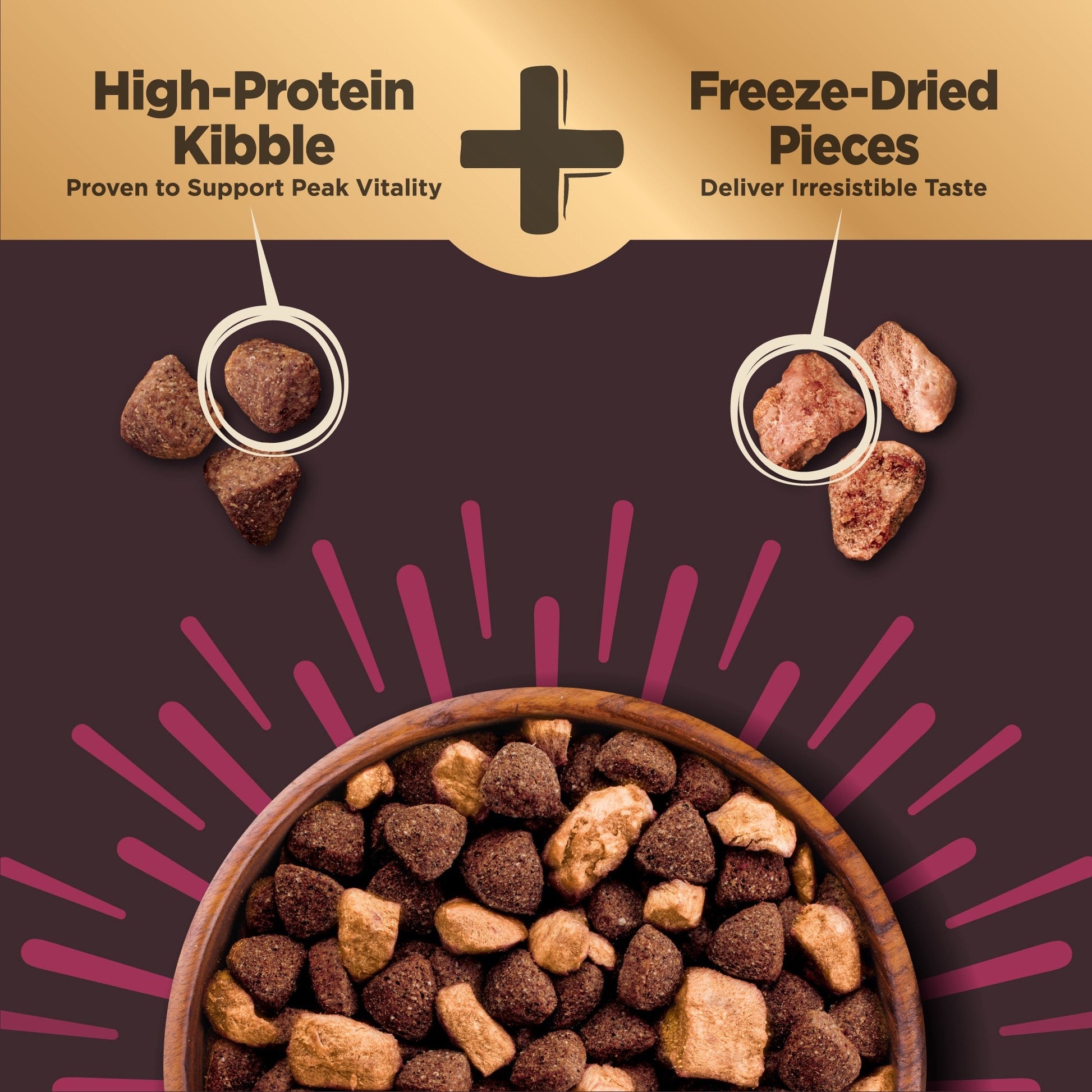 High-protein kibble and freeze-dried pieces in a bowl, small breed raw dog food for optimal nutrition