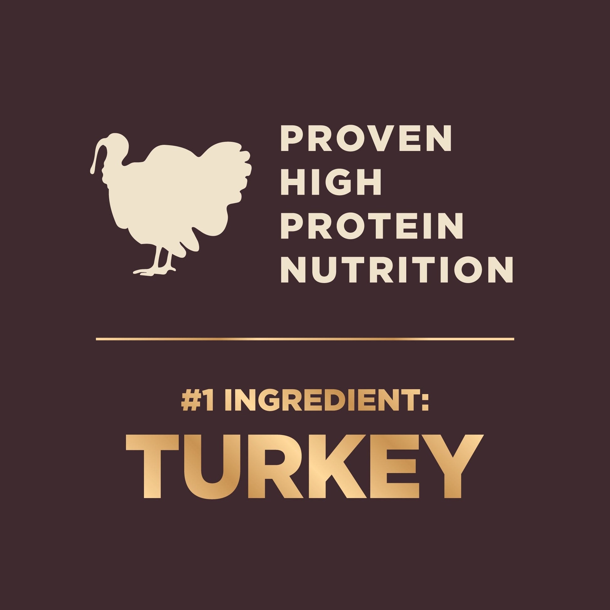 The Family Pet small breed raw dog food featuring high protein nutrition with turkey as the main ingredient