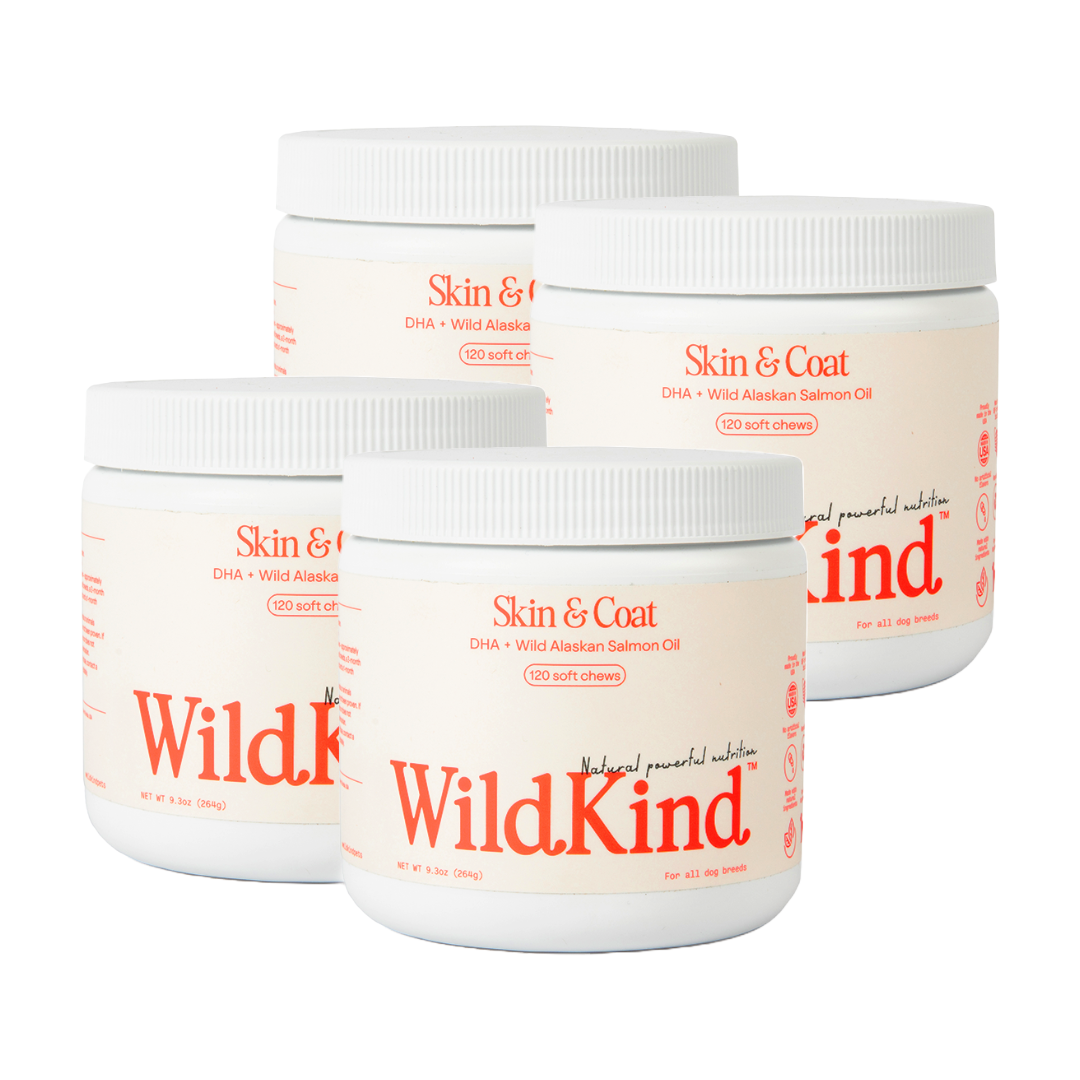 WildKind soft chew dog supplements for Skin and Coat with Wild Alaskan Salmon Oil in a four-pack