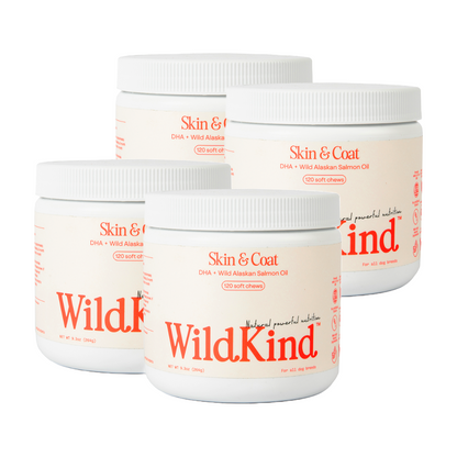 WildKind soft chew dog supplements for Skin and Coat with Wild Alaskan Salmon Oil in a four-pack
