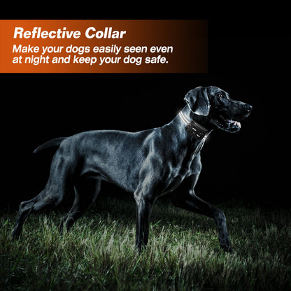 Reflective Dog Collar for Night Visibility, Ideal for Use with Wireless Electric Dog Fence